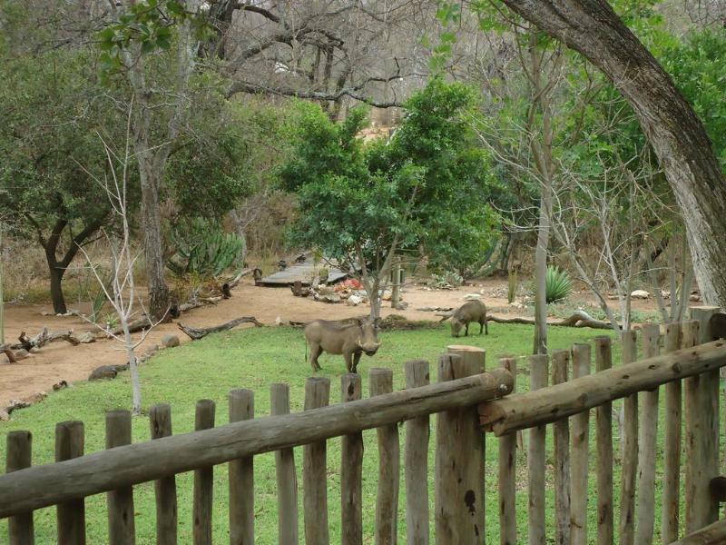 Ku Sungula Safari Lodge Balule Game Reserve Esterno foto