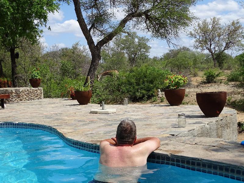 Ku Sungula Safari Lodge Balule Game Reserve Esterno foto